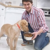 Rações para cachorros passam em teste