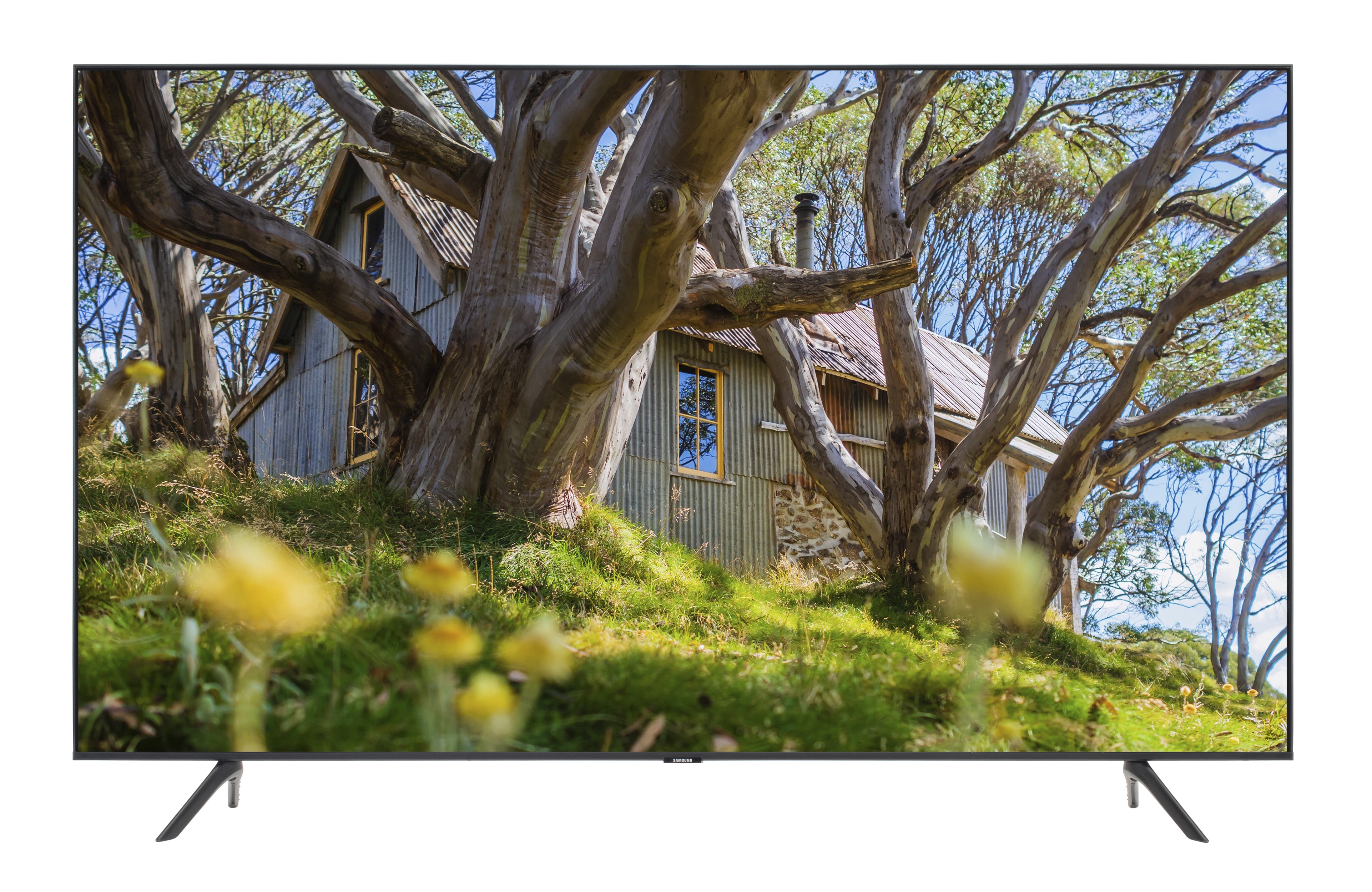 SAMSUNG UN65TU8000