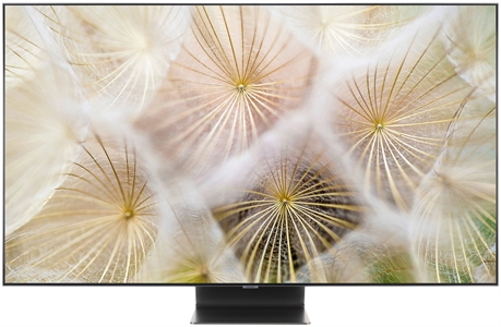 SAMSUNG QE65Q95T
